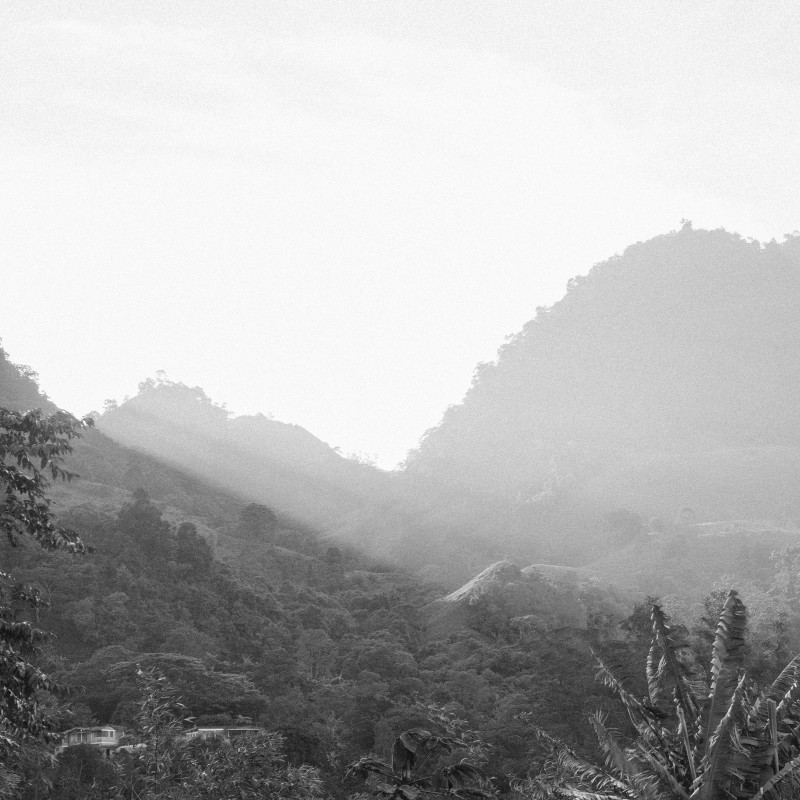 Peru Davila Ruiz Salvador