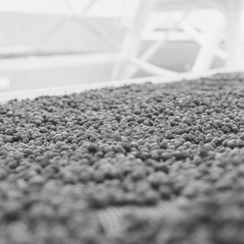 Colombia Diego Horta Pink Bourbon