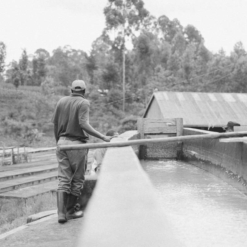 Kenya Gachatha AB