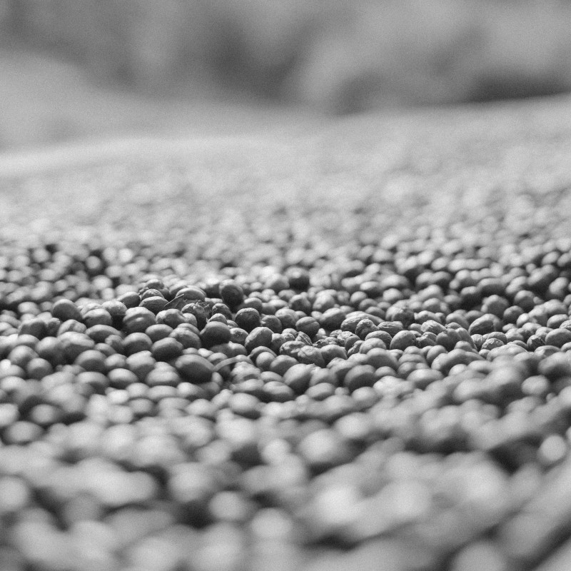 Ethiopia Gera Estate Anaerobic
