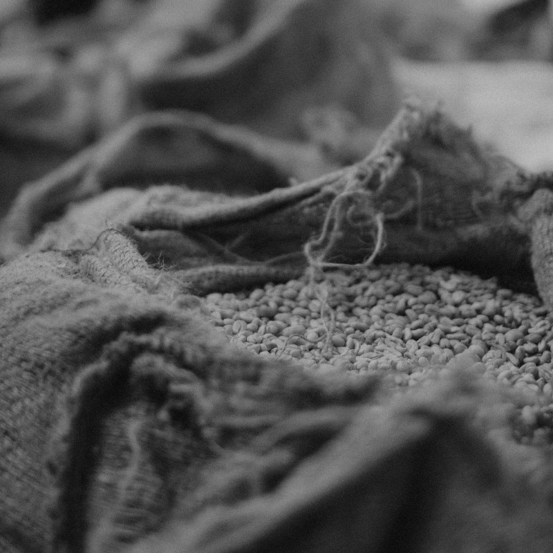 Kenya Gichangi Estate AA