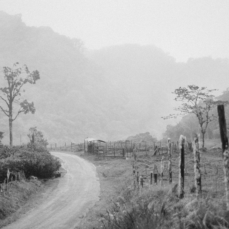 Panama Hacienda Barbara Catuai Natural