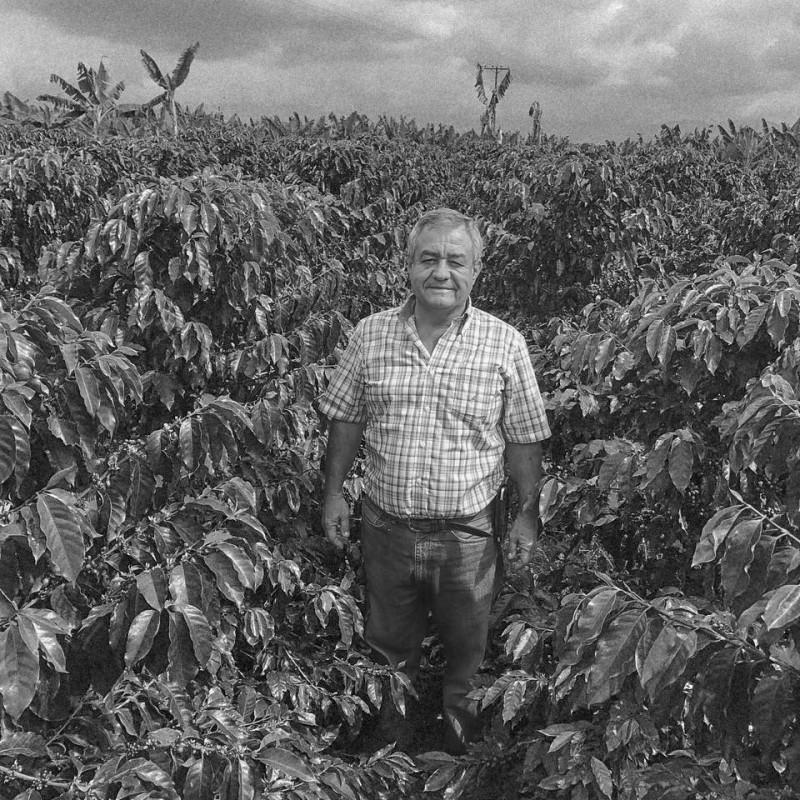 Colombia Jairo Arcila Lychee