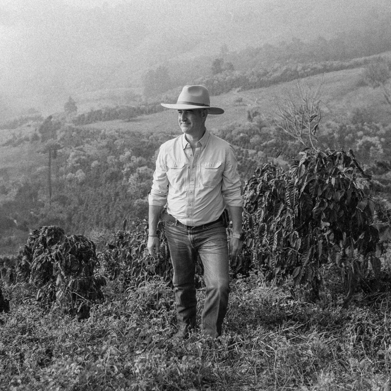 Guatemala El Socorro Maracaturra