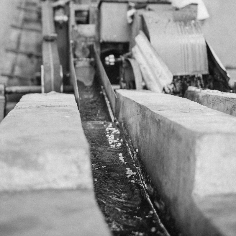 Ethiopia Kolla Bolcha
