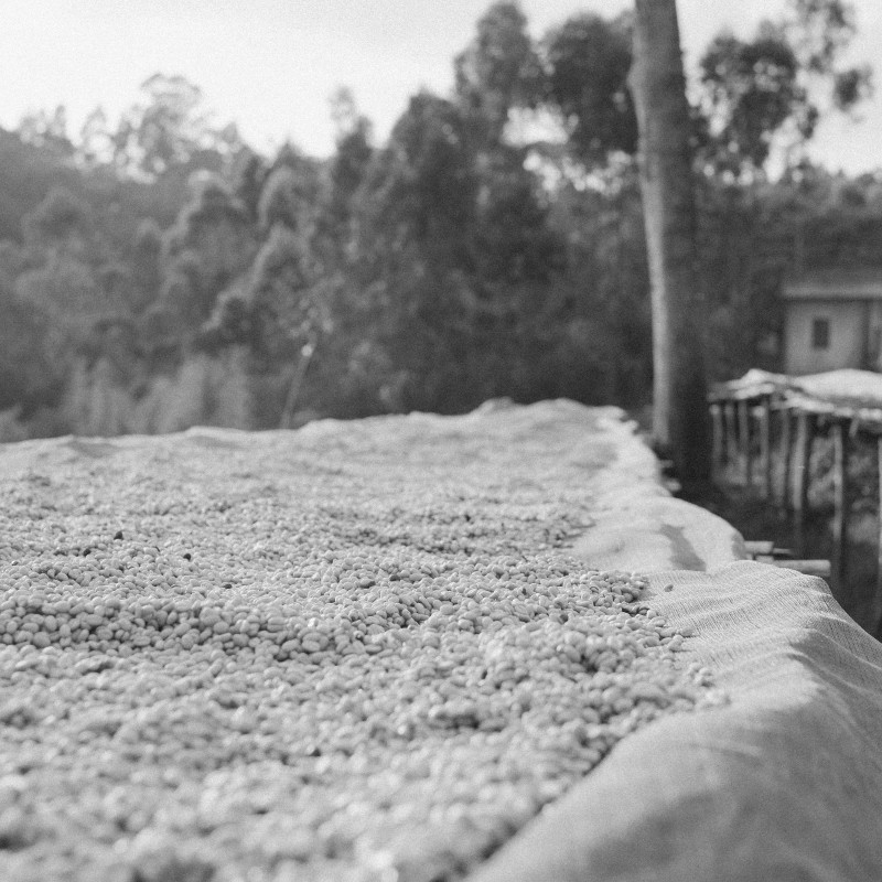 Ethiopia Mustefa Abakeno