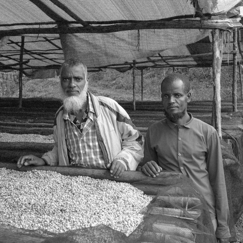 Ethiopia Agaro Yukro G1